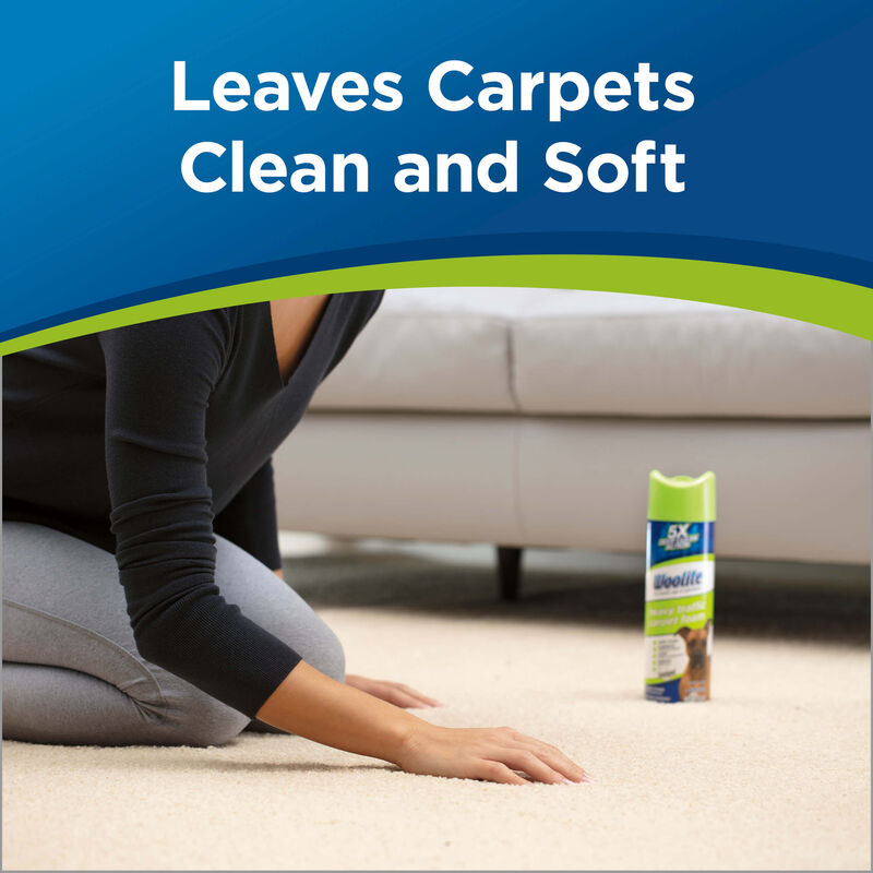 Woolite Heavy Traffic Foam Carpet Cleaner Woolite®